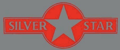 silver star logo
